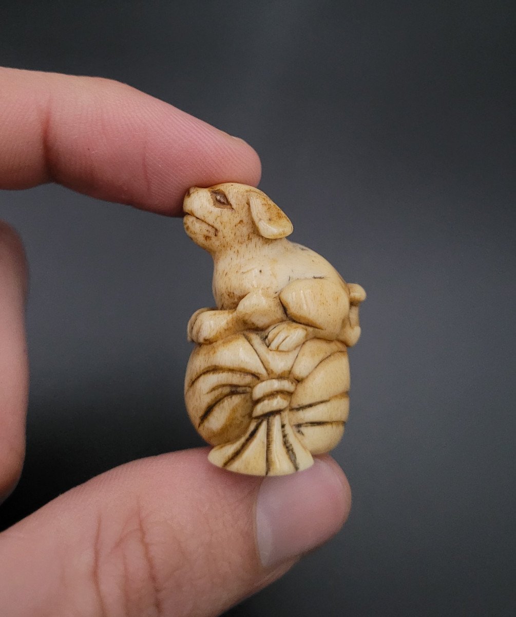Netsuke - Puppy On A Bag - Japan - End Of 19th Century -photo-3