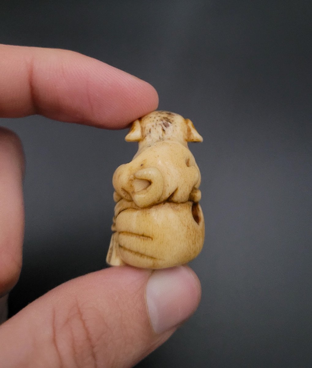 Netsuke - Puppy On A Bag - Japan - End Of 19th Century -photo-4