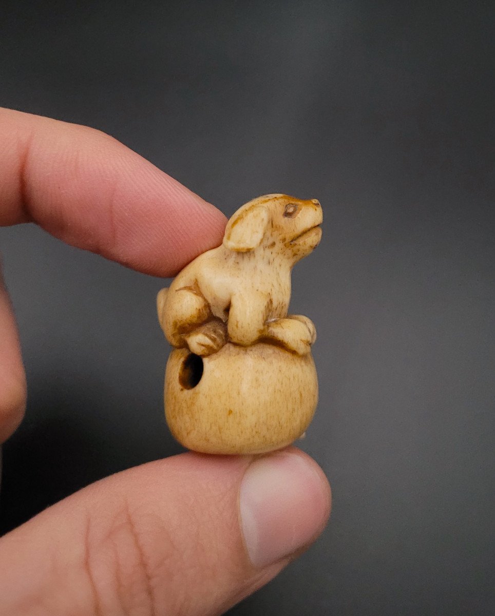 Netsuke - Puppy On A Bag - Japan - End Of 19th Century -photo-1