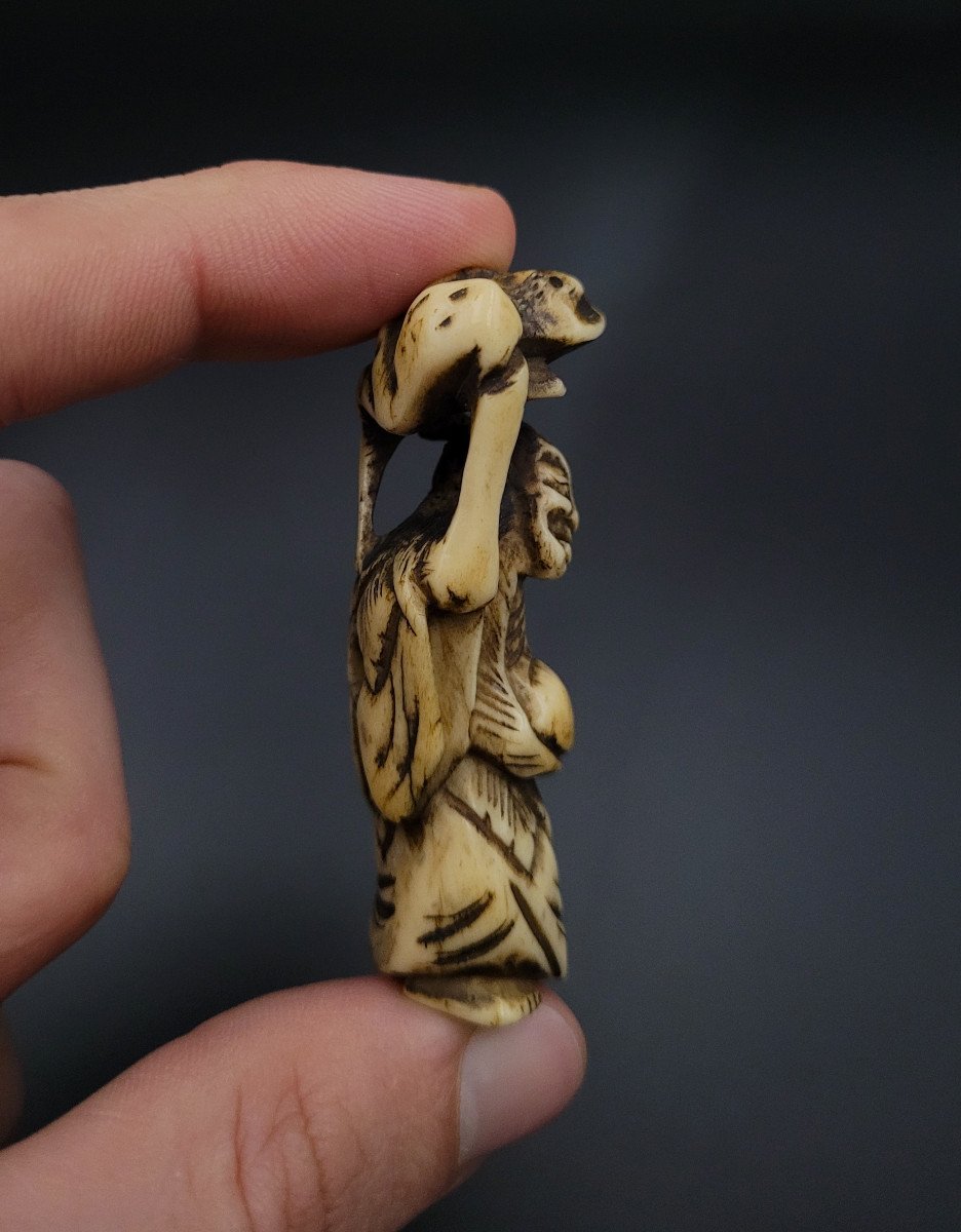 Netsuke - Gama Sennin With Toad - 19th Century - Deer Antler-photo-2