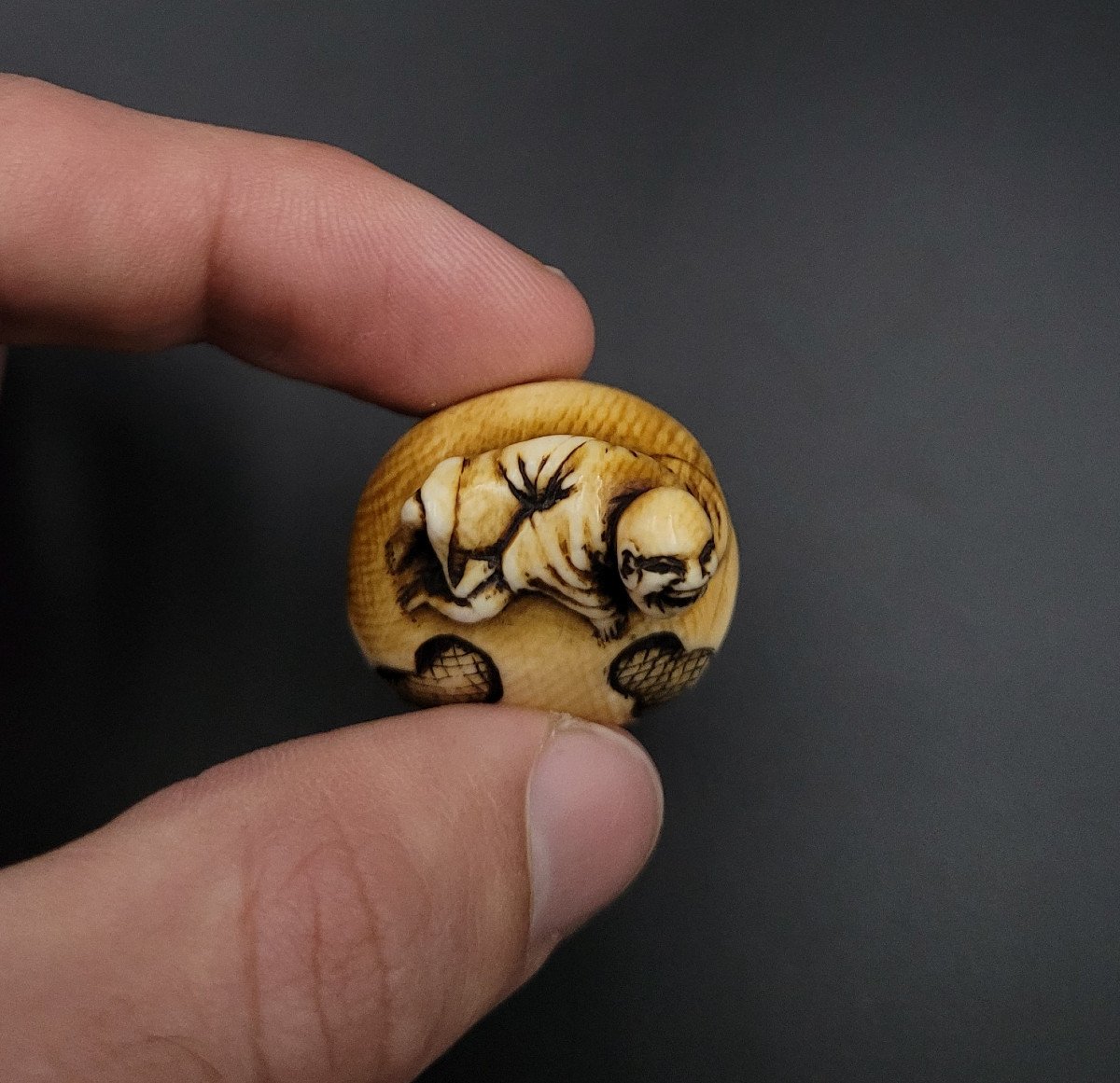 Netsuke - Bonze Hilare Sur Un Mokugyo - Ivoire - XIXème-photo-3