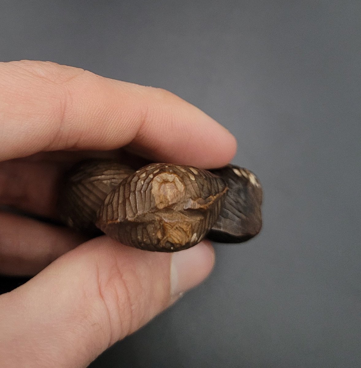 Netsuke - Three Clams Joined Together - Wood - Japan - 19th Century-photo-4