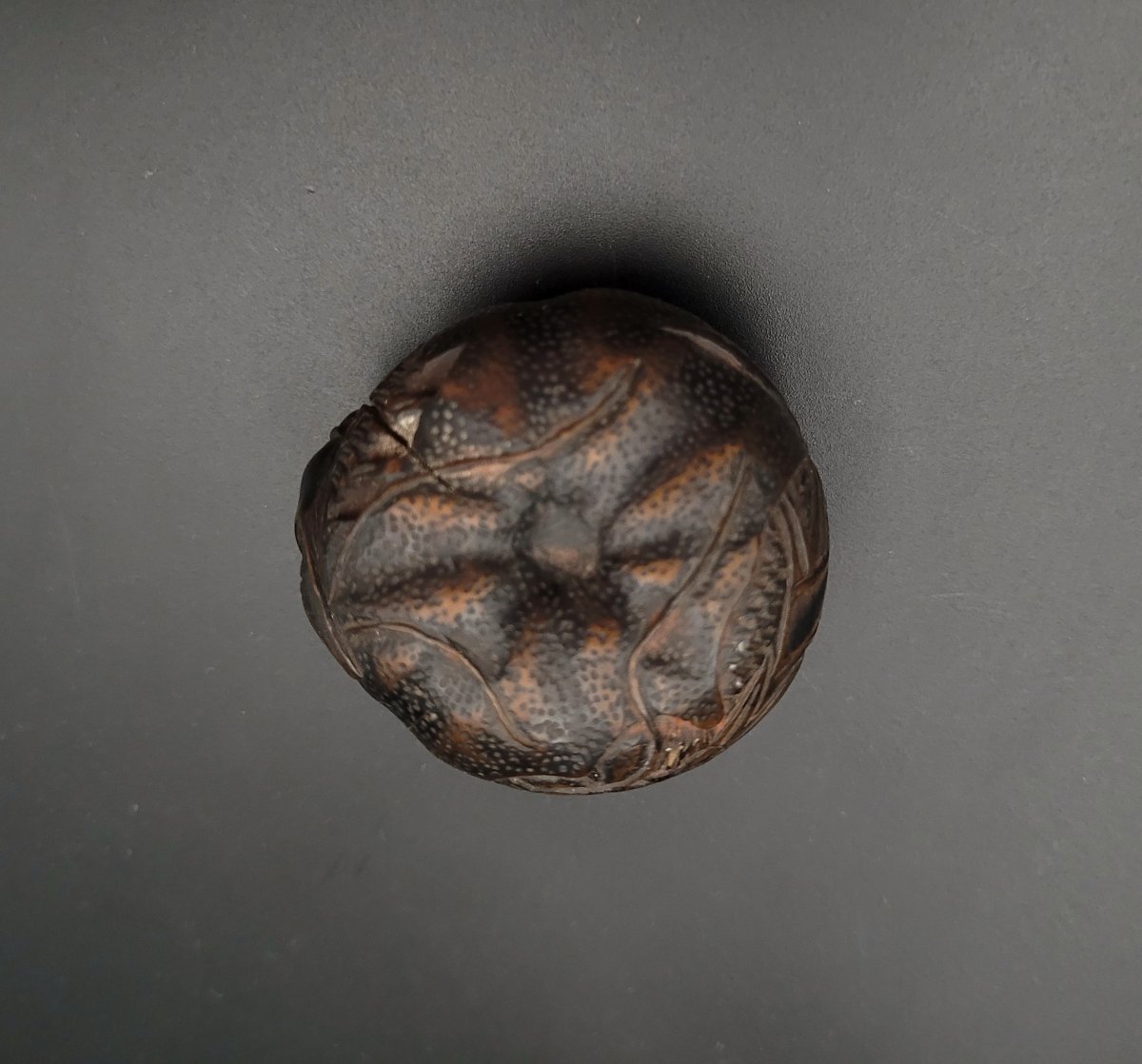 Netsuke - Mandarine Au Dragon - Bois - Japon - XIXème-photo-5
