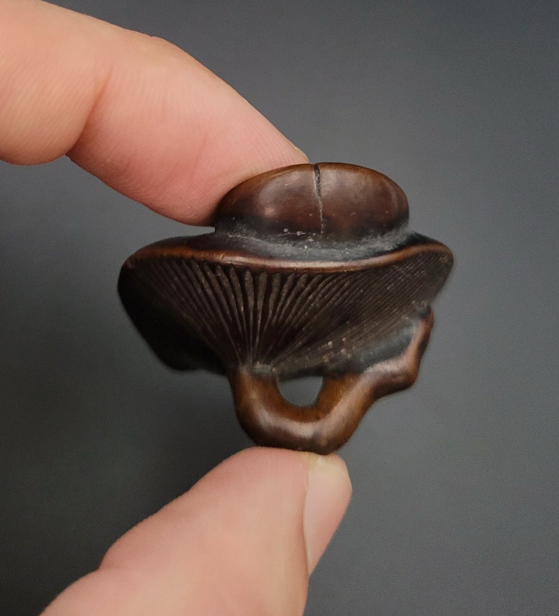 Netsuke - Two Mushrooms - Japan - 19th Century-photo-2