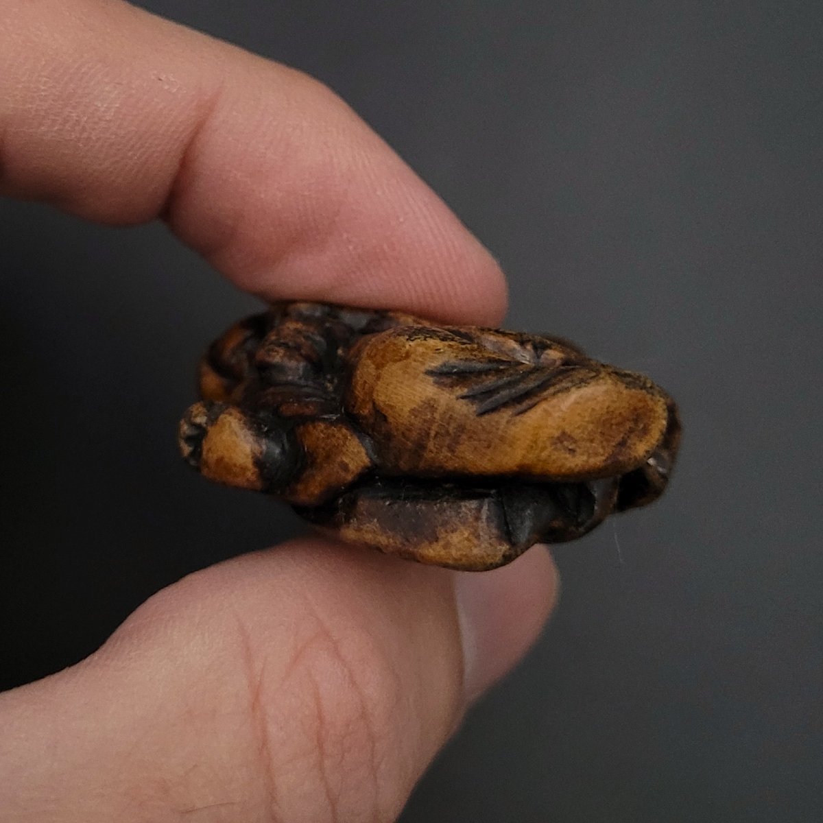  Netsuke - Fujin portant son sac à vent - Bois - Edo-photo-4