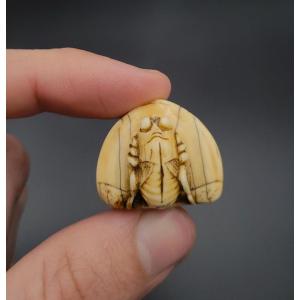Netsuke - Cicada Placed On A Chestnut - Japan - 19th Century