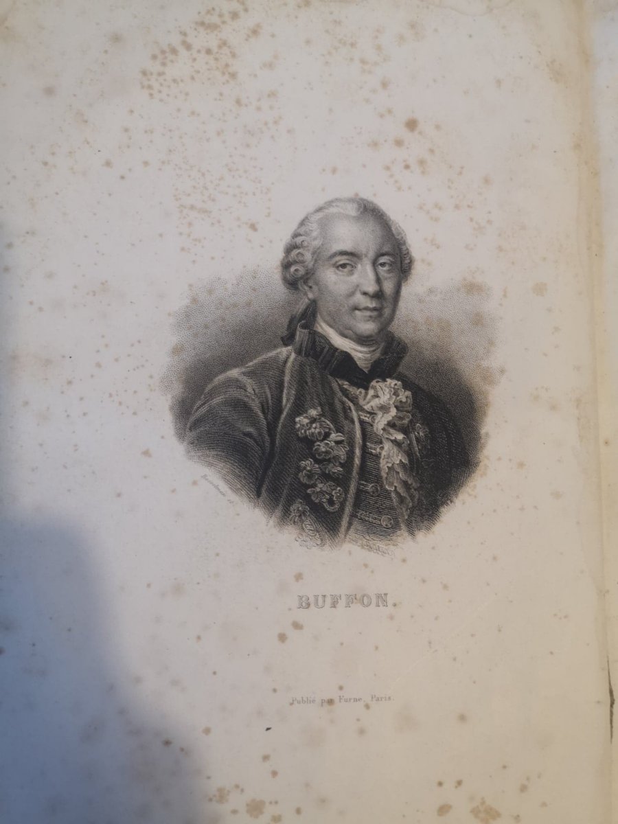 Complete Works Of Buffon- Edition H. Fournier Et Cie- 1840.-photo-1