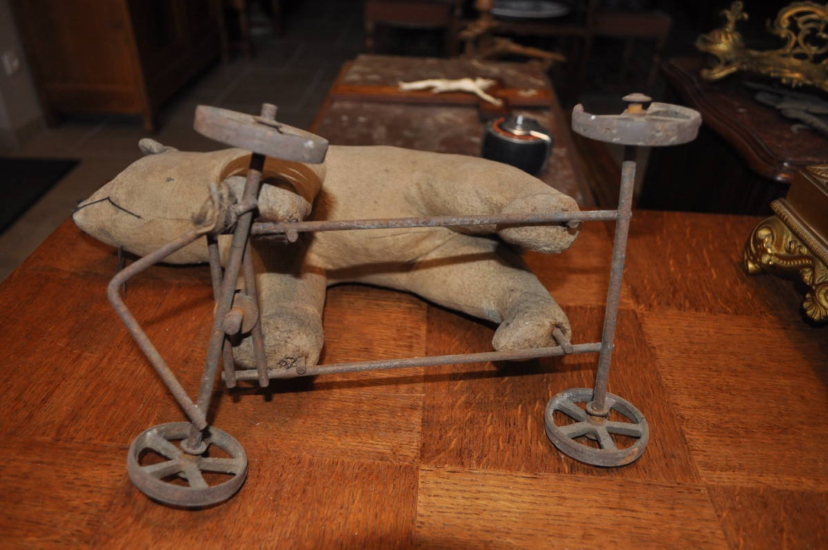 Antique Pull-along Teddy Bear On 4 Wheels, Late 19th Century Articulated Toy, Steiff Brand?-photo-4