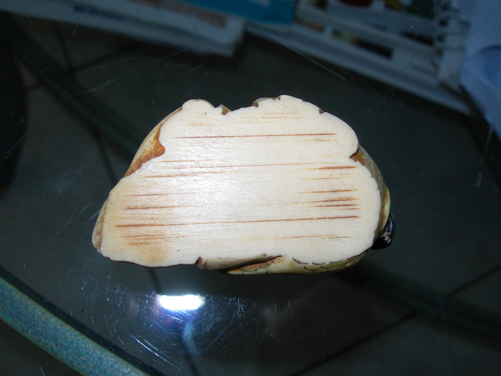 Erotic Polychrome Ivory Nétsuké Japan, Late 19th Or Early 20th Century Curiosity Item-photo-2