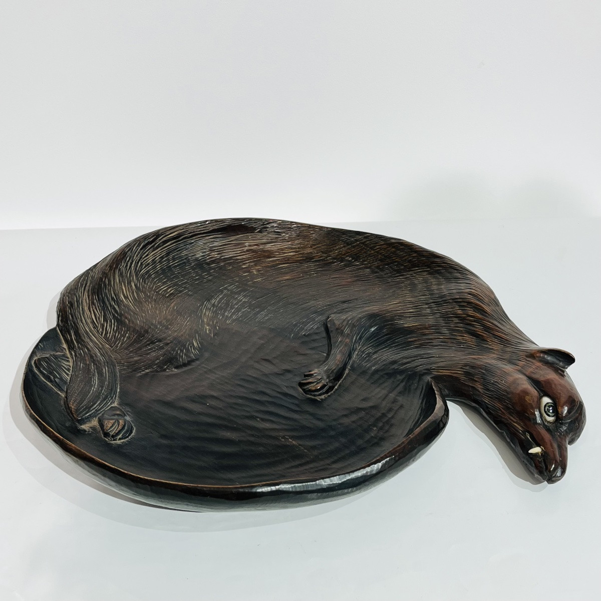 Plateau Japonais Tanuki - Japon -photo-1
