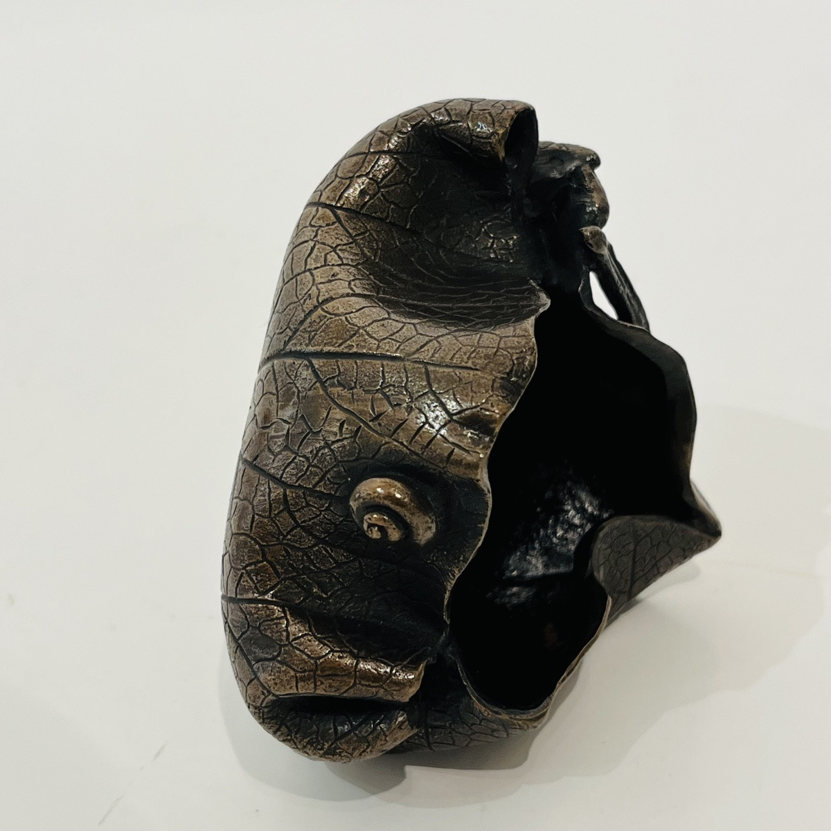 Japanese Leaf And Snail Tray - Japan -photo-3