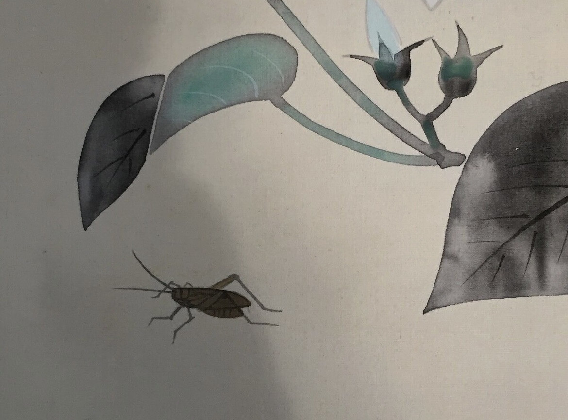 Peinture japonaise sur Kakejiku sauterelle et volubilis - Japon -photo-2