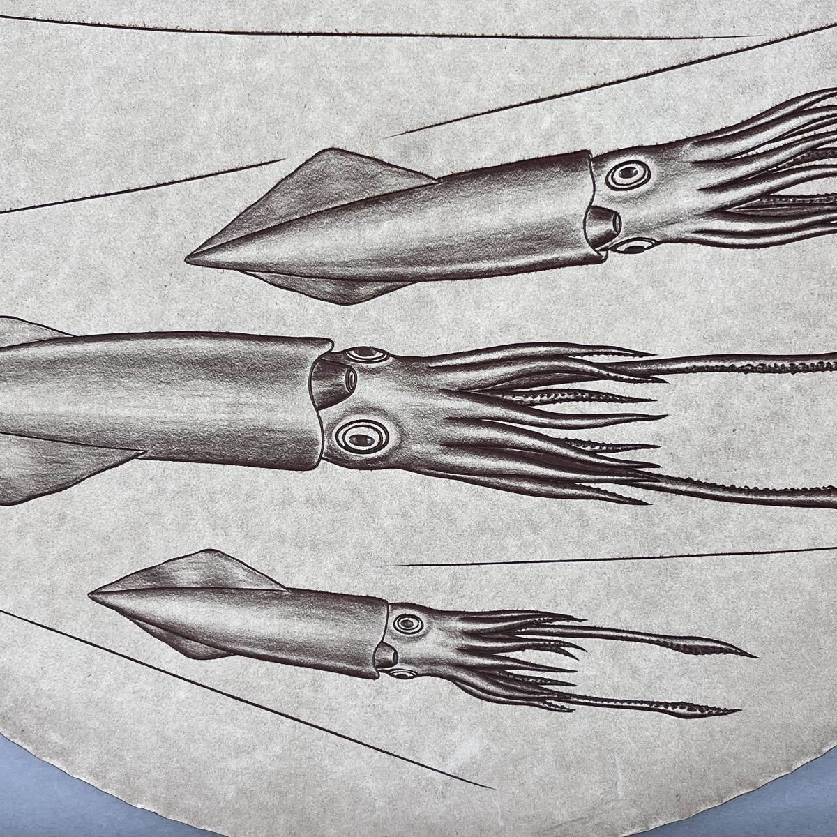 Plat en métal argenté aux calamars - Japon -photo-1
