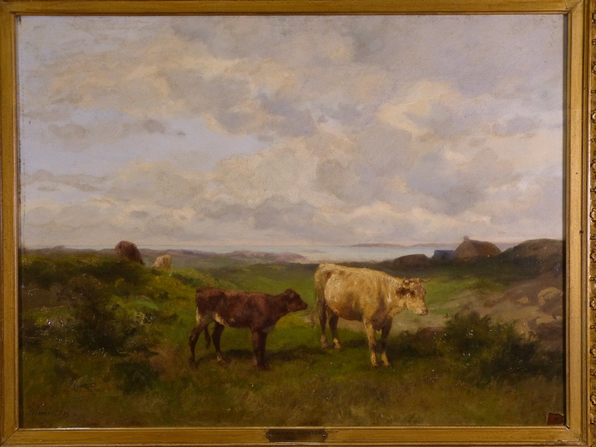 Clément Quinton, Seaside Landscape Brittany Pasture Of Bovidae-photo-1