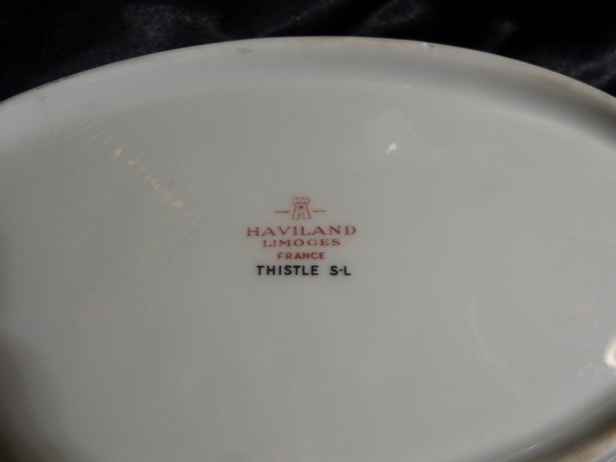 Thistle, Limoges Haviland, Porcelain Service 50 Pieces-photo-2