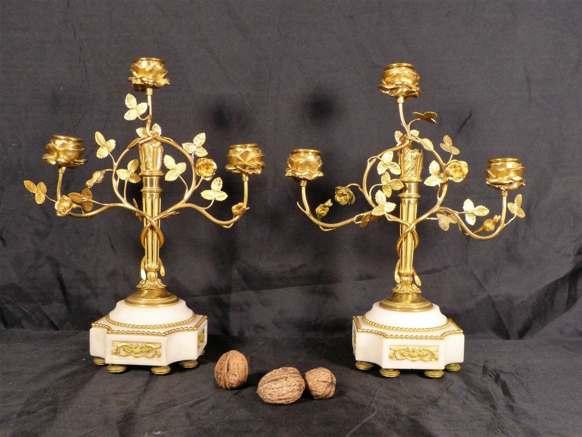 Pair Of Candelabras Louis XVI Period Gilt Bronze White Marble