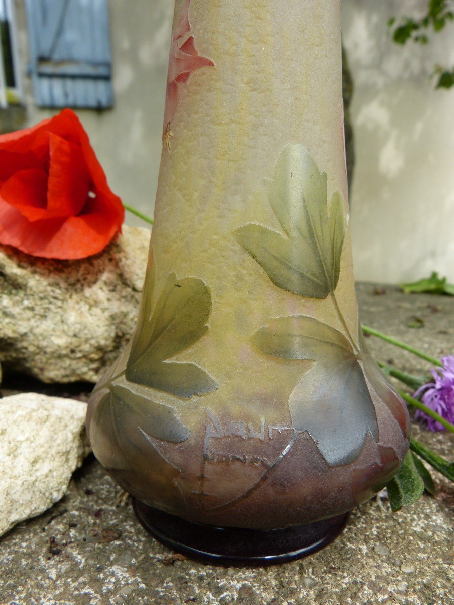 Daum Nancy Vase Art Nouveau Aux  Ancolies -photo-4