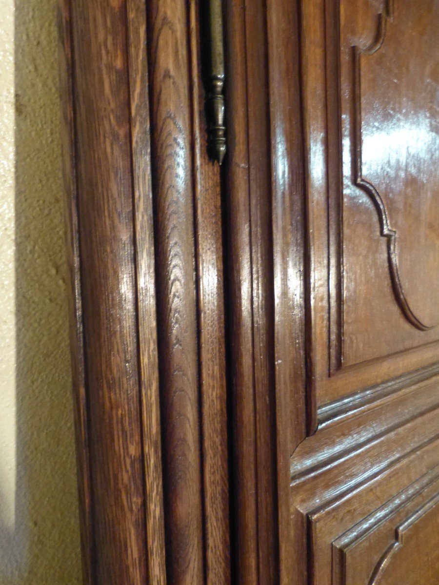 Pair Of Cupboard Doors With Oak Frames-photo-7