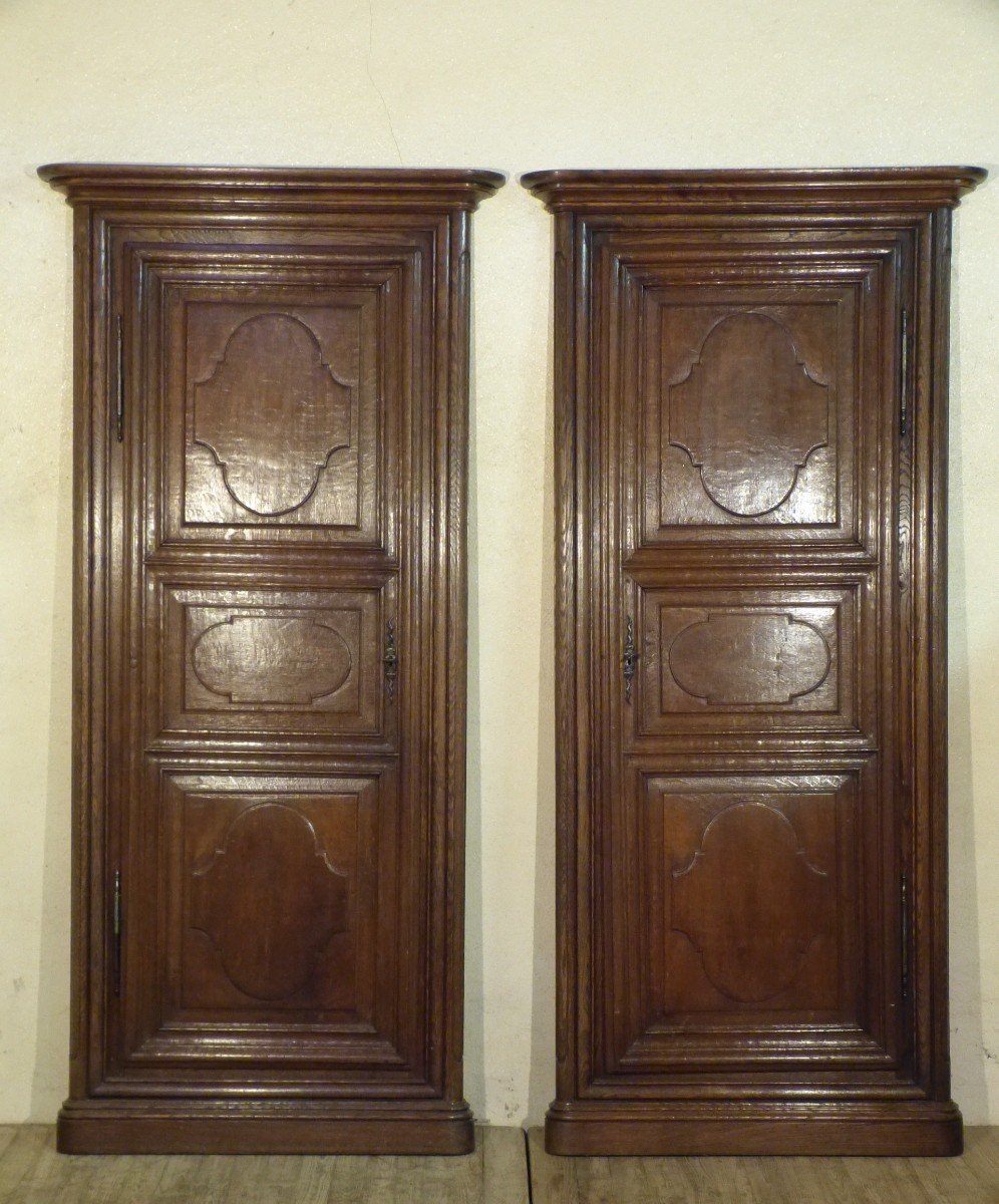 Pair Of Cupboard Doors With Oak Frames