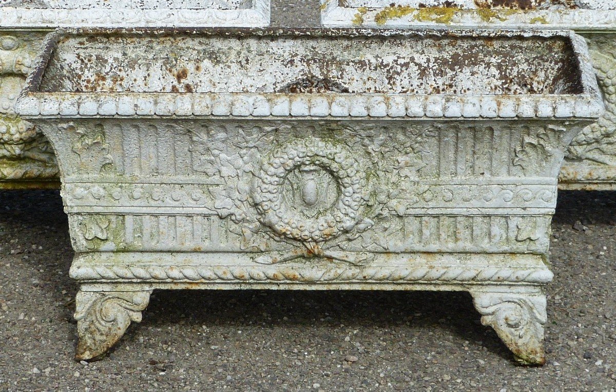 19th Century Cast Iron Planter