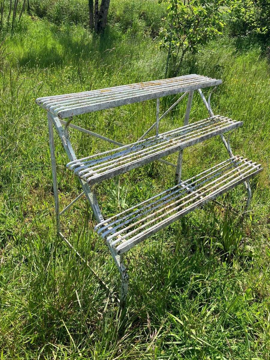 Banc De Pots En Fer D’arras étagère à Plantes Pour Jardin Serre Ou Jardin D’hiver 19eme-photo-1