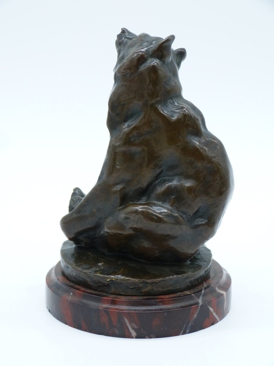 Georges Gardet Ours En Bronze Siot Paris Fondeur Numéroté-photo-3