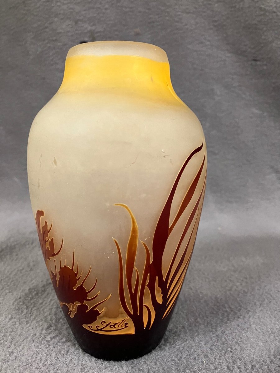 émile Gallé Vase Art Nouveau Aux Algues 16,5 Cm-photo-3