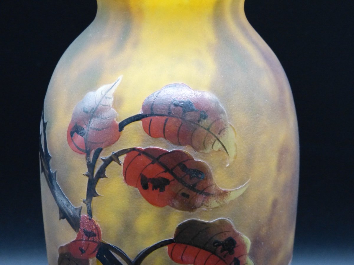 Vase Muller Frères Lunéville Au Framboisier Art Nouveau Verre Gravé Et émaillé Framboise -photo-3