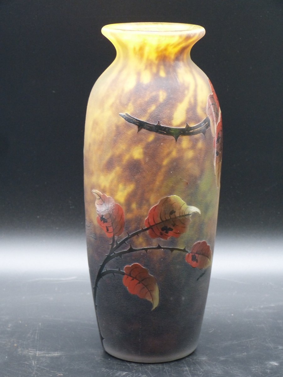 Vase Muller Frères Lunéville Au Framboisier Art Nouveau Verre Gravé Et émaillé Framboise -photo-7