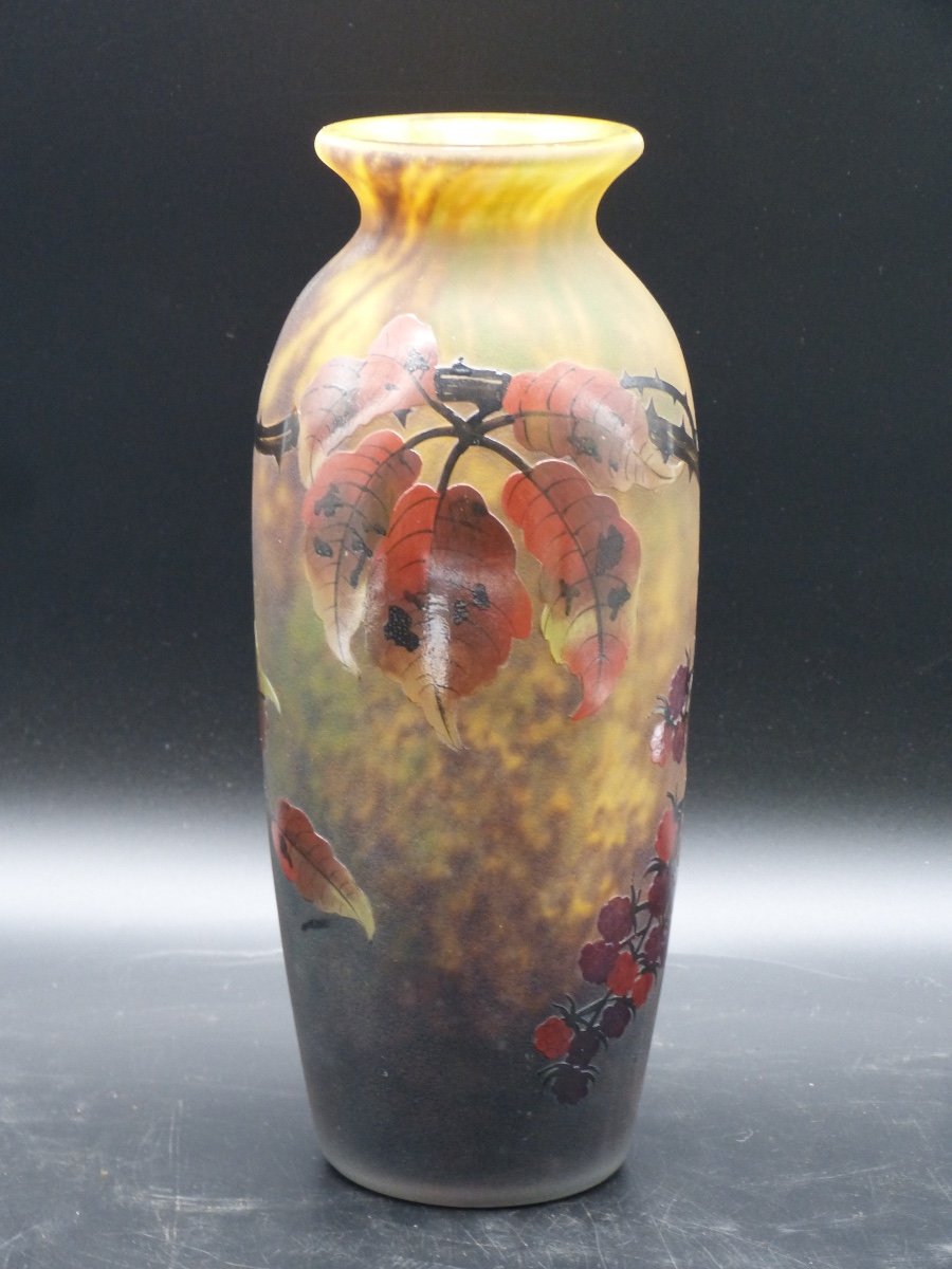 Vase Muller Frères Lunéville Au Framboisier Art Nouveau Verre Gravé Et émaillé Framboise -photo-8