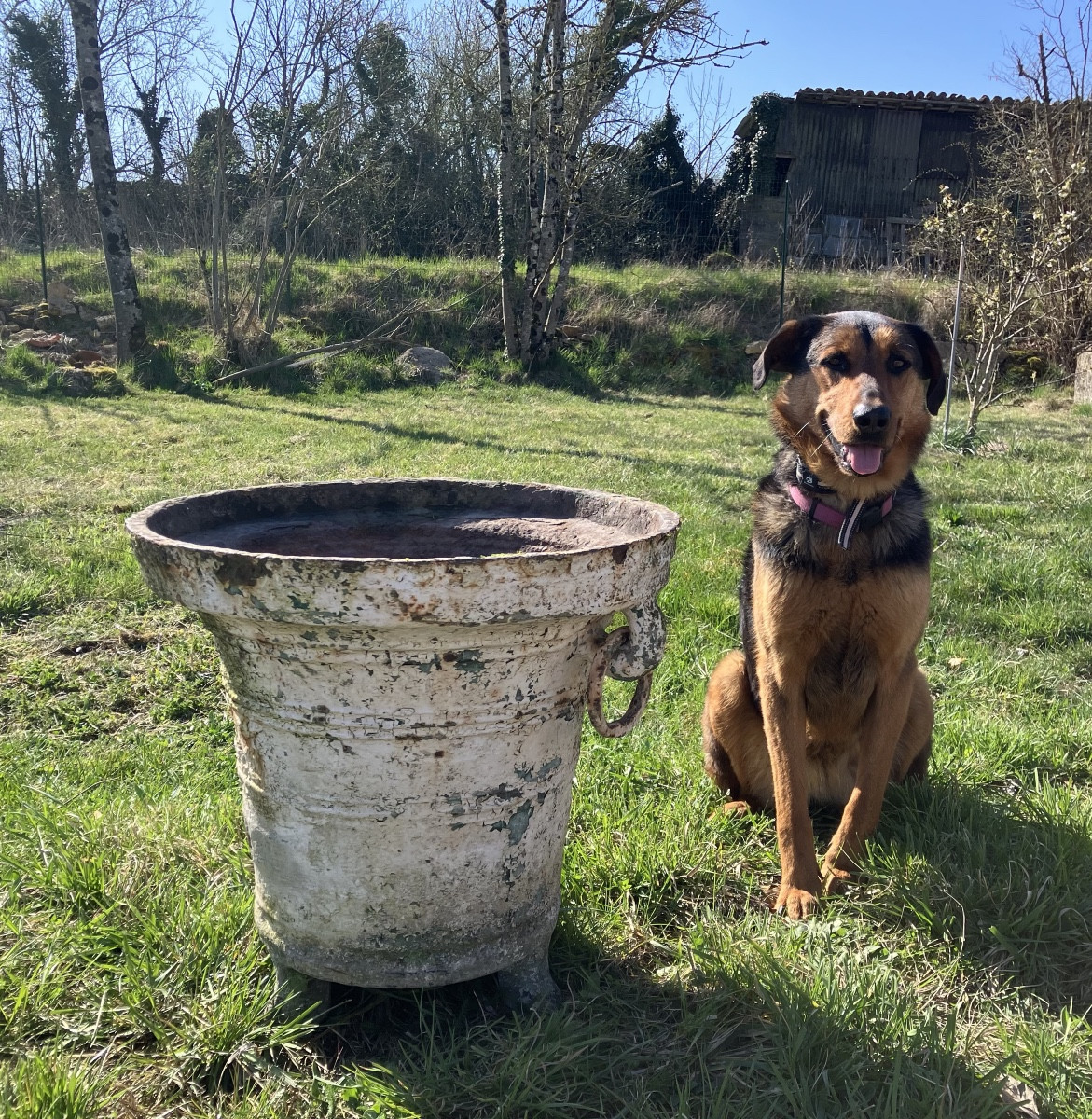 Important Cast Iron Mortar Late 15th Century Planter Basin 