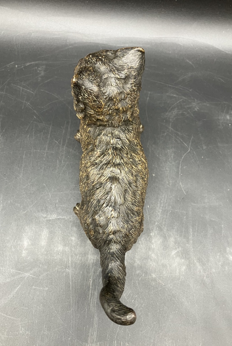 Bronze de Vienne Chat signé Geschützt et monogramme FB de Franz XavierBergmann-photo-3