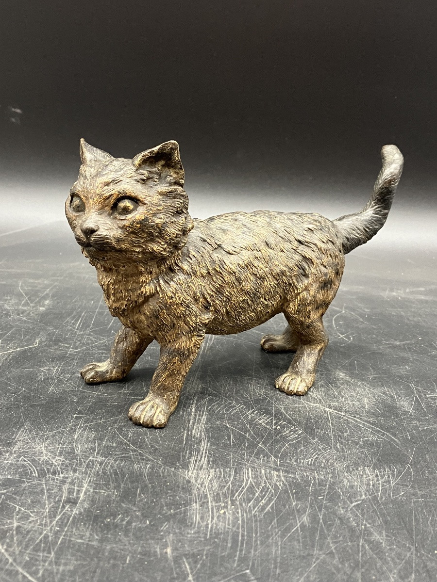 Bronze de Vienne Chat signé Geschützt et monogramme FB de Franz XavierBergmann-photo-7