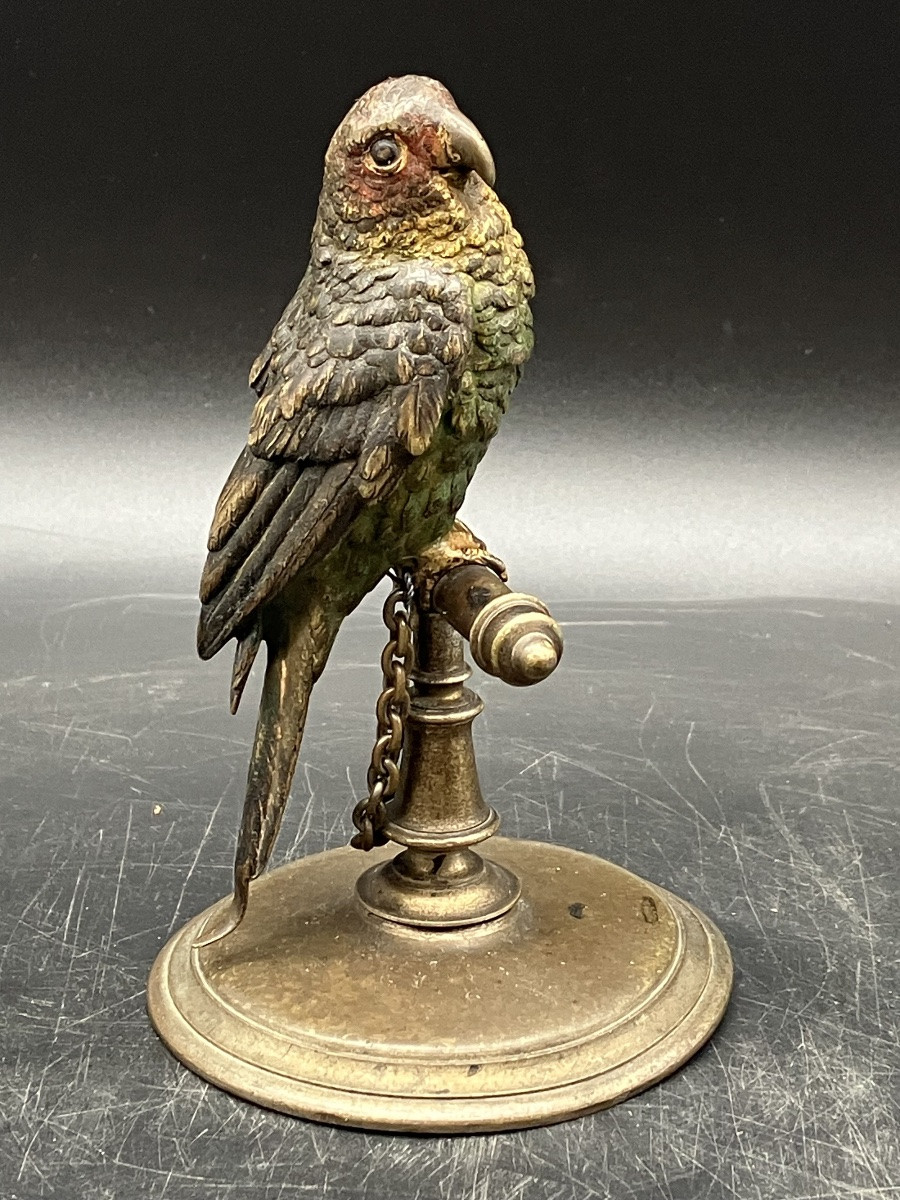 Bronze de Vienne Perruche sur son perchoir perroquet polychrome Geschützt Bergmann-photo-4