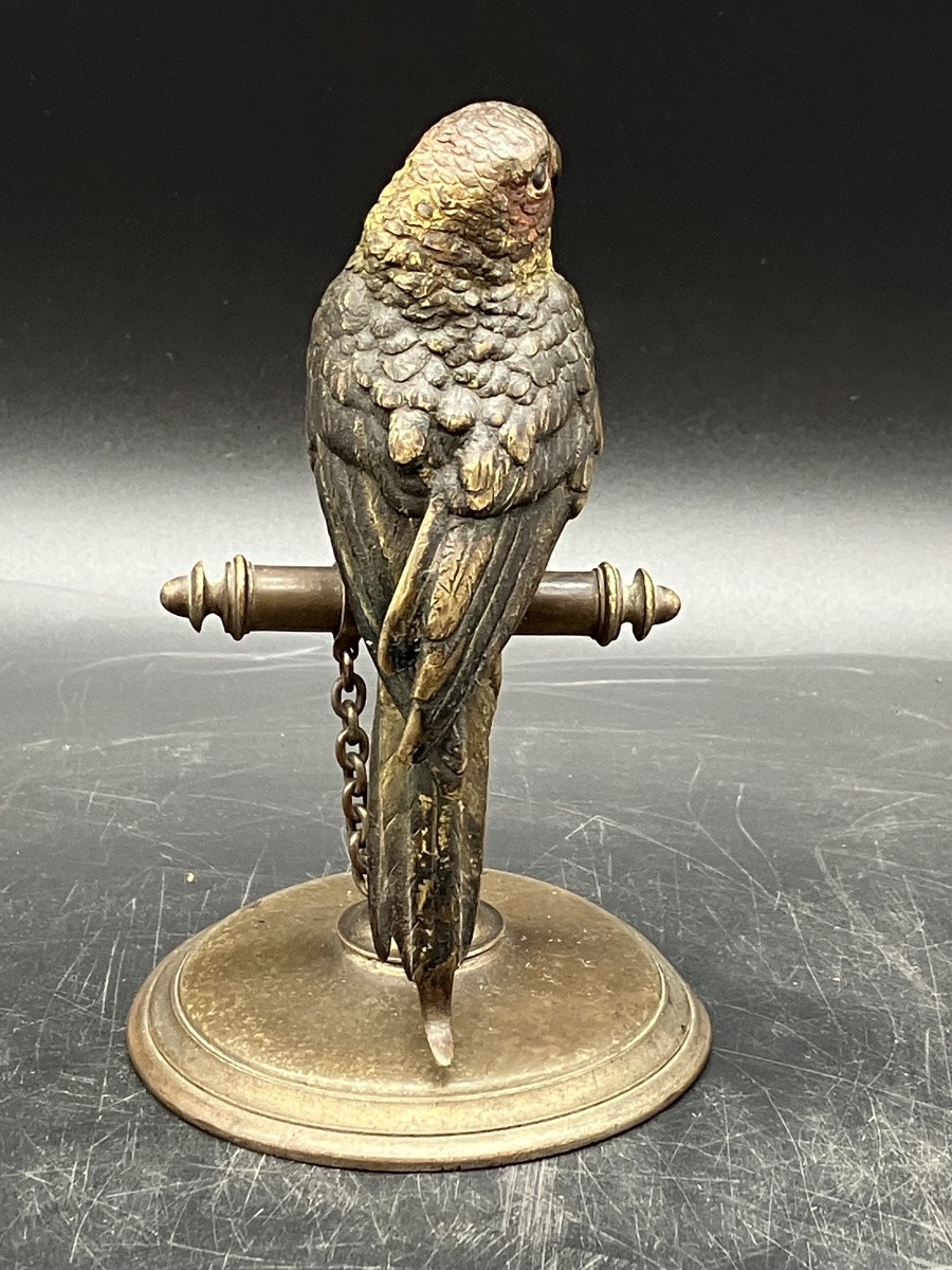 Bronze de Vienne Perruche sur son perchoir perroquet polychrome Geschützt Bergmann-photo-1