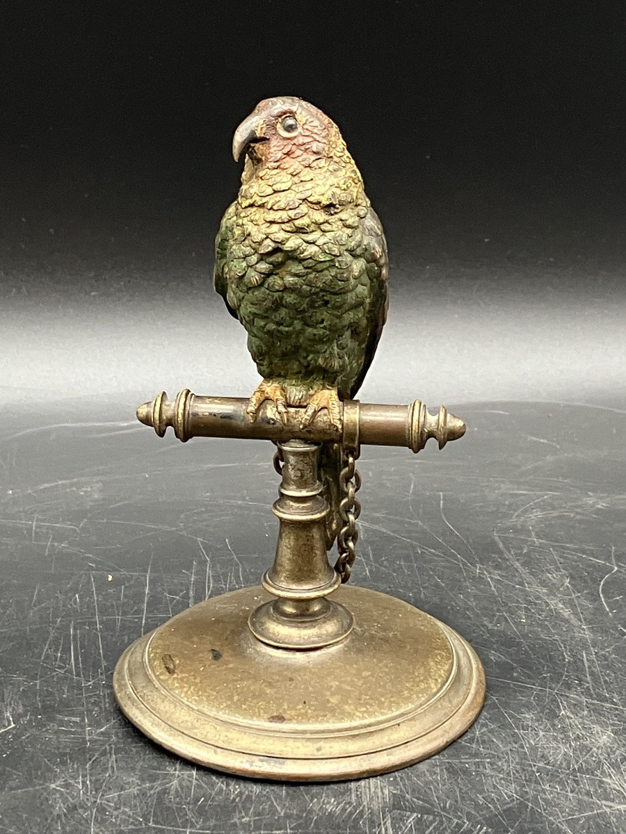 Bronze de Vienne Perruche sur son perchoir perroquet polychrome Geschützt Bergmann-photo-3