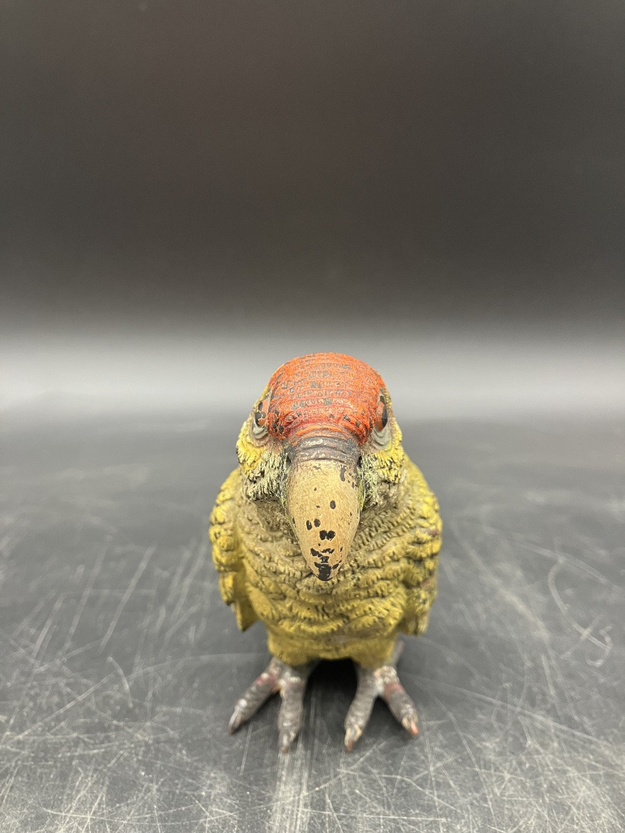 Vienna Bronze Parrot Signed Geschützt -photo-4