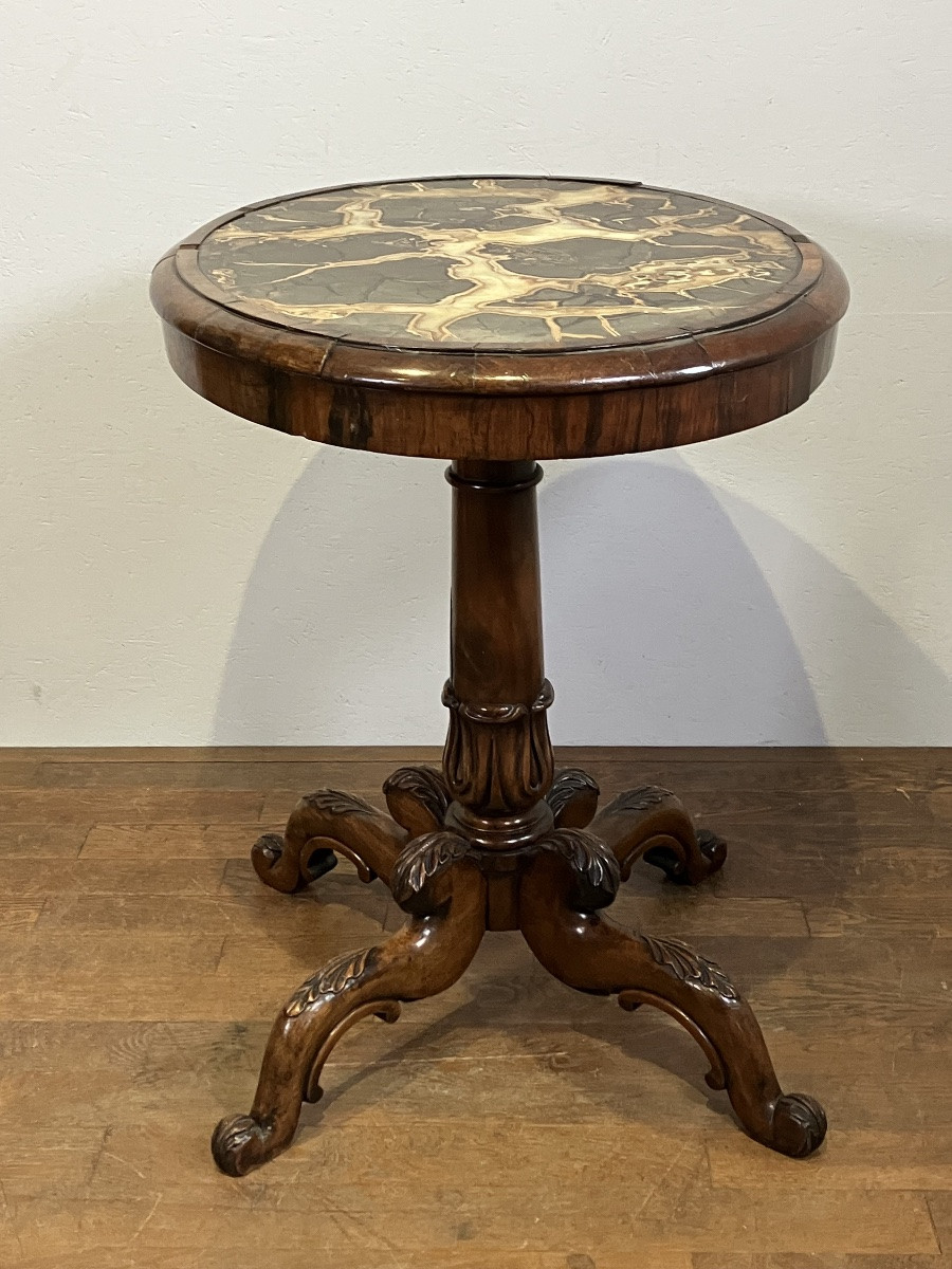 Rare Gueridon dessus Turtle stone marble ou marble à nodule septaria William IV anglais 19eme-photo-3