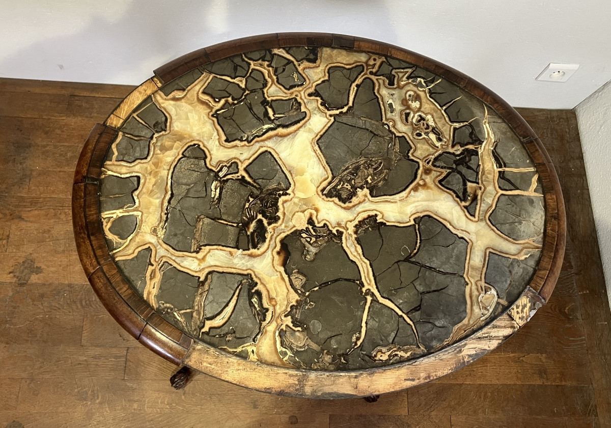 Rare Gueridon dessus Turtle stone marble ou marble à nodule septaria William IV anglais 19eme-photo-4