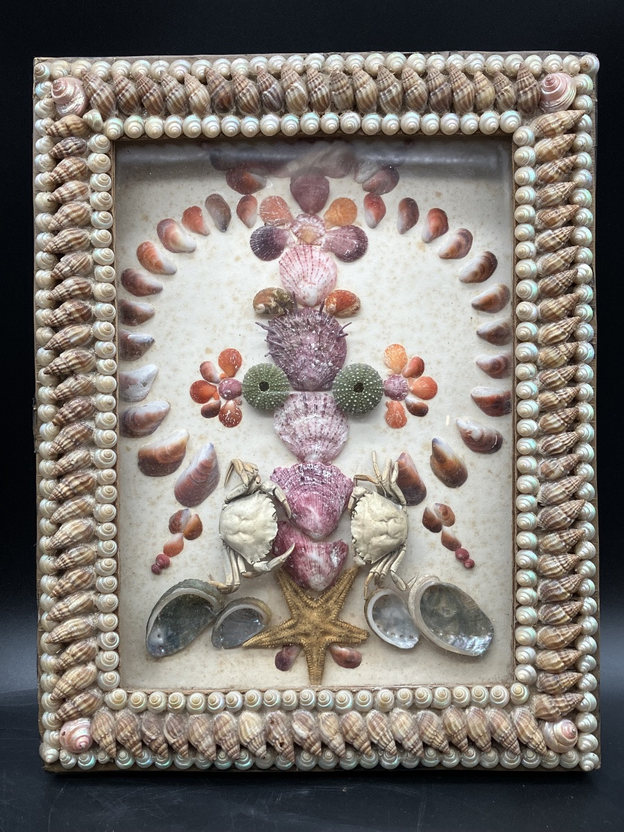 Paire de cadres compositions en coquillages et divers produits de la mer-photo-4