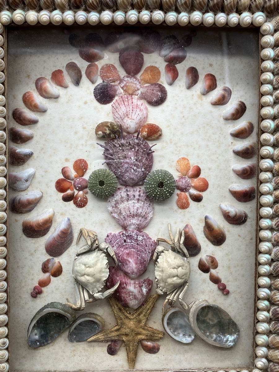 Paire de cadres compositions en coquillages et divers produits de la mer-photo-2