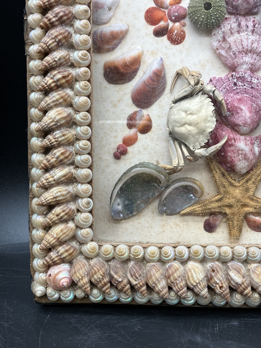 Paire de cadres compositions en coquillages et divers produits de la mer-photo-3