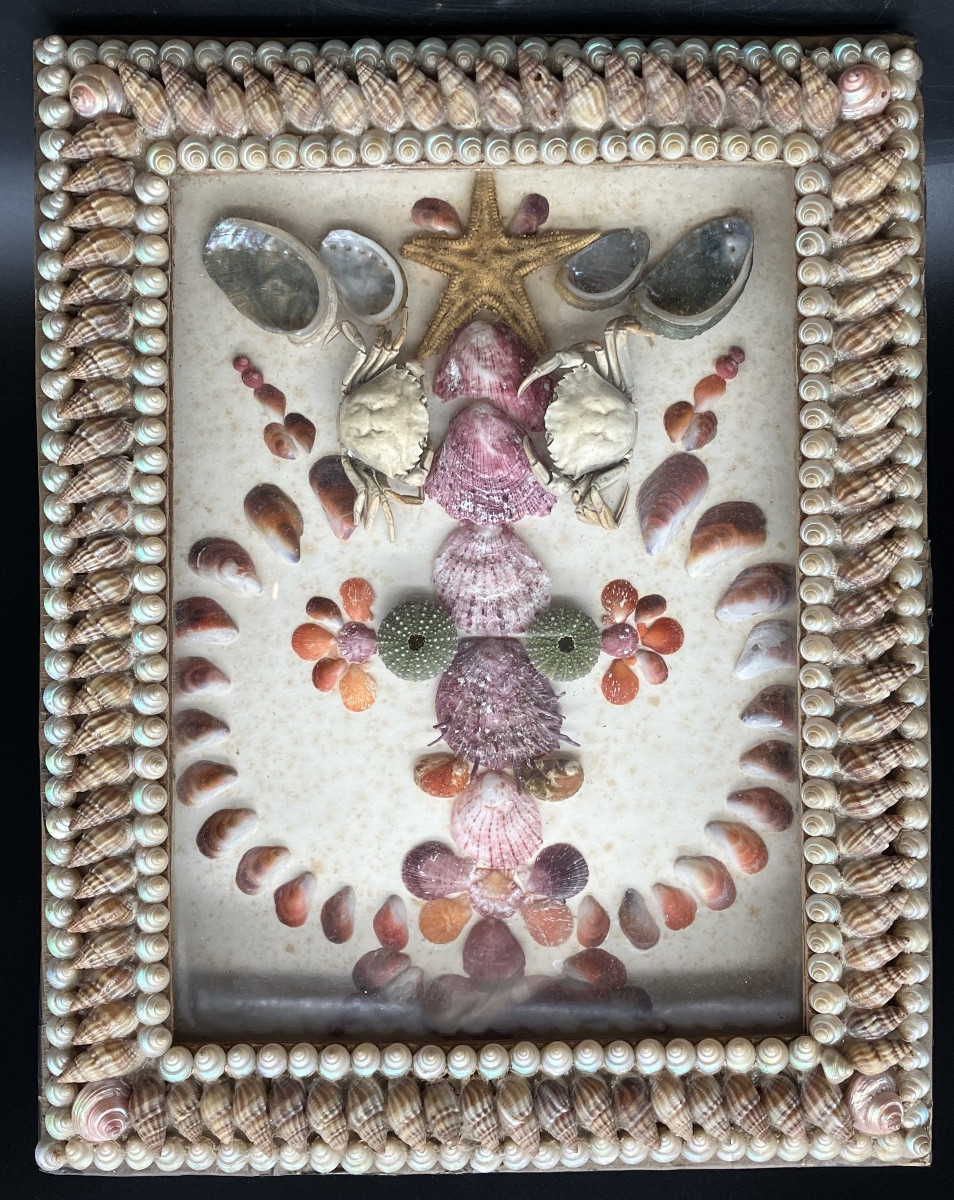 Paire de cadres compositions en coquillages et divers produits de la mer-photo-6