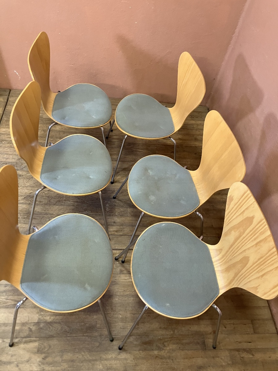 Arne Jacobsen pour Fritz Hansen Série de 6 chaises série 7 ( modèle 3107) Design Danois-photo-3