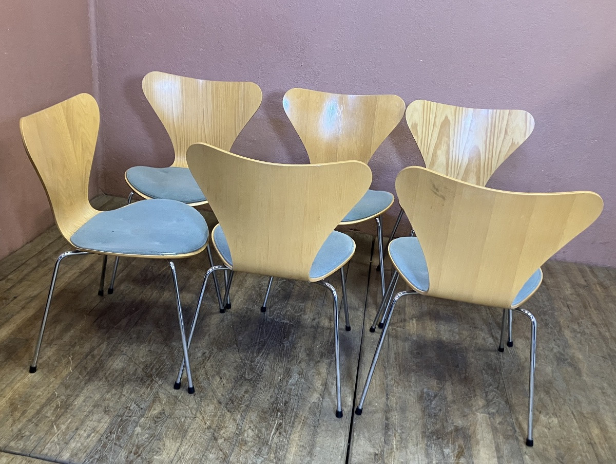 Arne Jacobsen pour Fritz Hansen Série de 6 chaises série 7 ( modèle 3107) Design Danois-photo-4