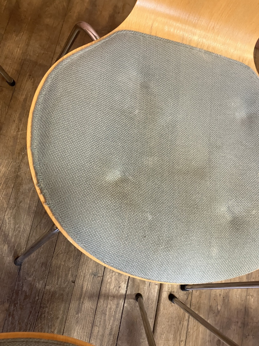 Arne Jacobsen pour Fritz Hansen Série de 6 chaises série 7 ( modèle 3107) Design Danois-photo-2