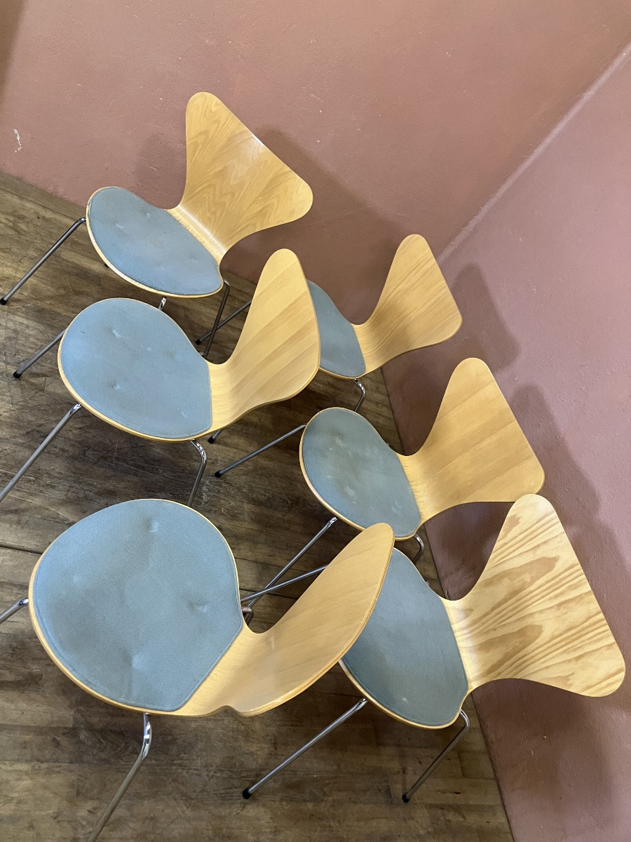 Arne Jacobsen pour Fritz Hansen Série de 6 chaises série 7 ( modèle 3107) Design Danois-photo-4