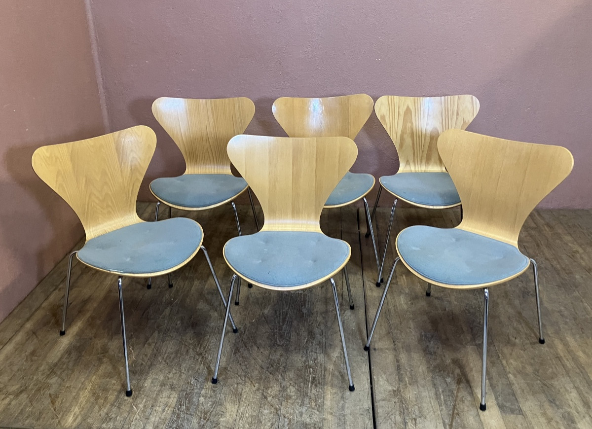 Arne Jacobsen pour Fritz Hansen Série de 6 chaises série 7 ( modèle 3107) Design Danois