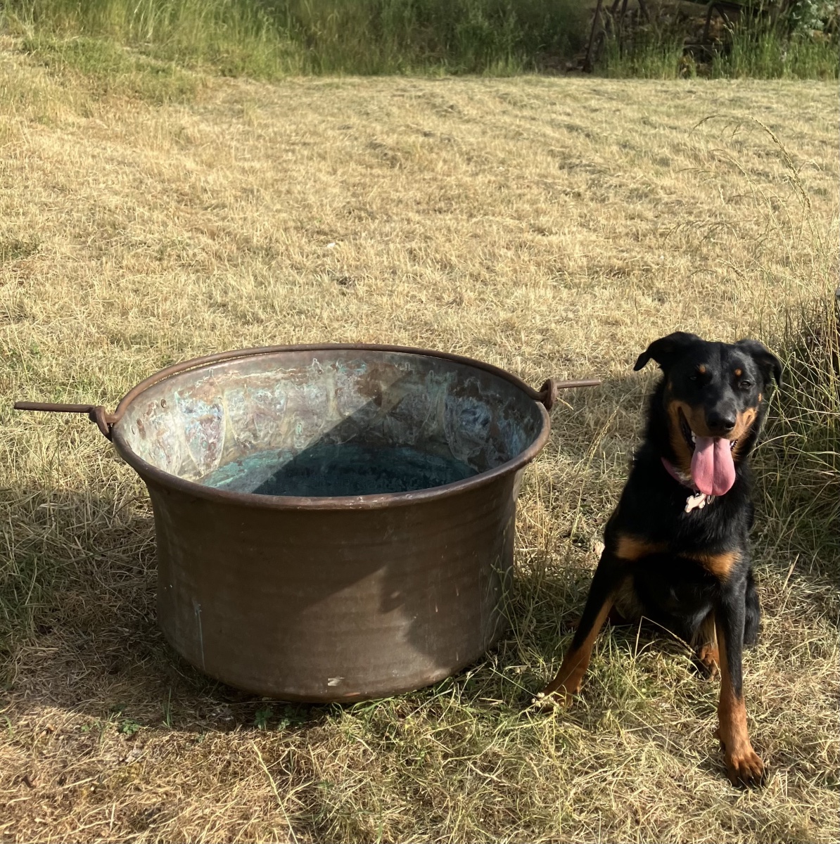 Copper Cauldron With Handle Planter Garden Decoration Basin-photo-2