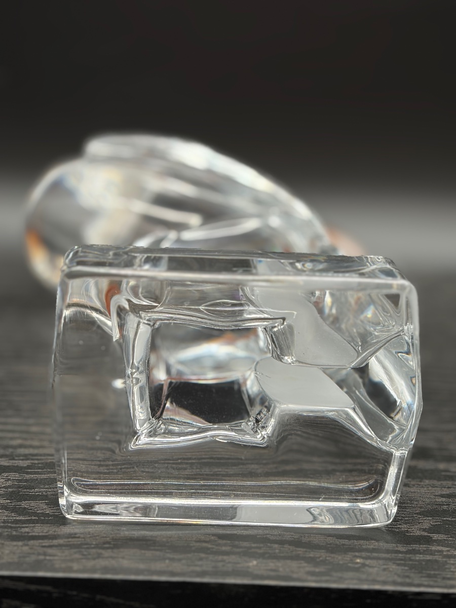 Daum Crystal Toucan  Nancy-photo-2